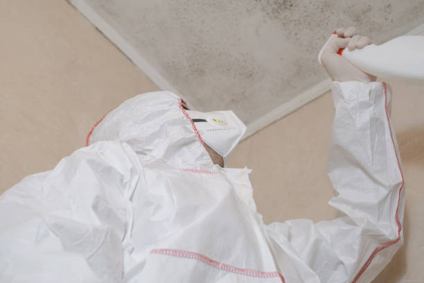 Best Home Mold Removal  in West Hattiesburg, MS