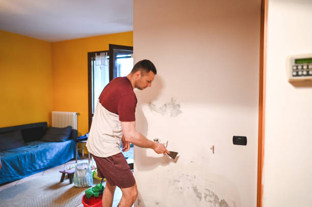 Best Office Mold Removal Services  in West Hattiesburg, MS