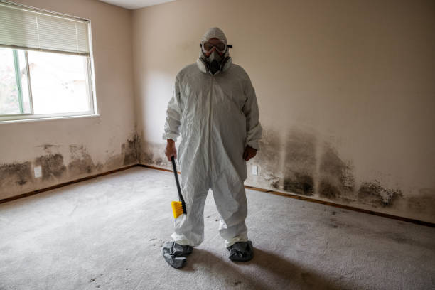 Trusted West Hattiesburg, MS Mold Removal Experts